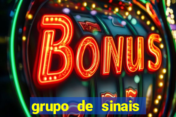 grupo de sinais fortune rabbit